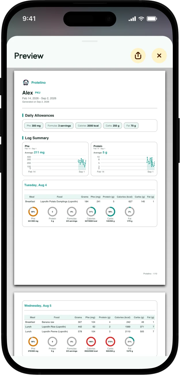 Screenshot of a generated Protelino PDF report with daily allowances and a log summary